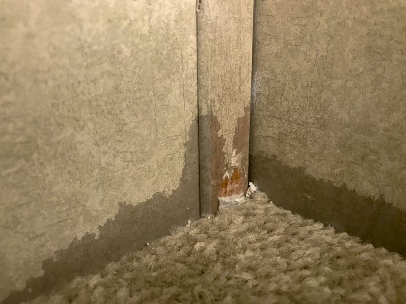 Basement Carpet Repair in Kansas City, KS