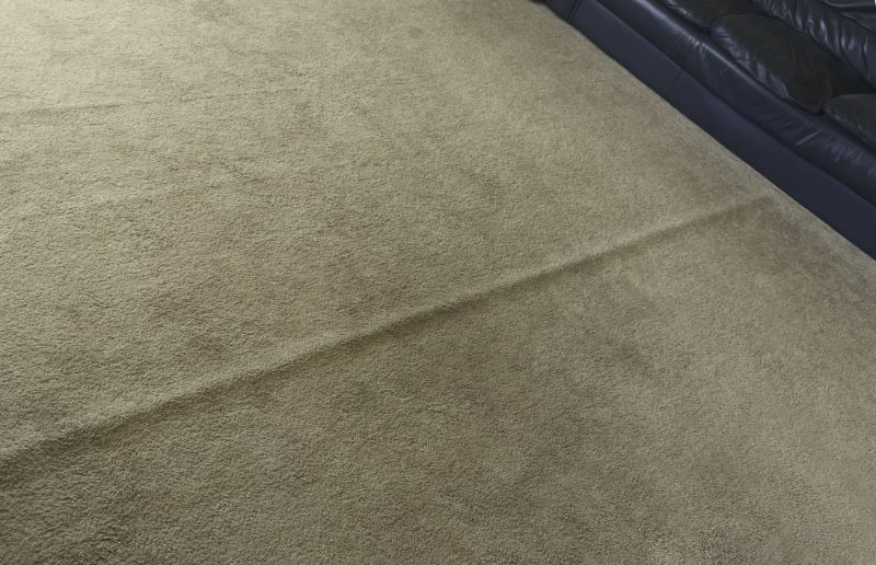 Carpet Burn Repair in Denver County, CO