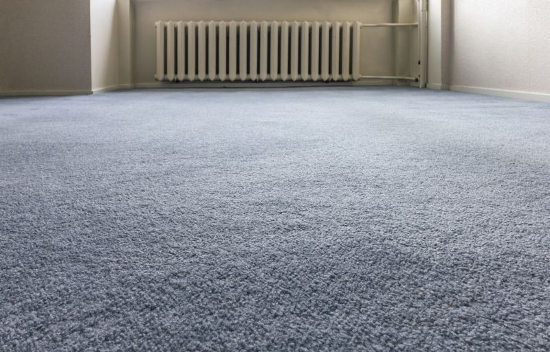 Carpet Burn Repair in Olathe, KS