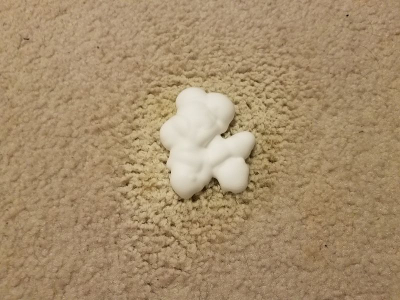 Pet Stain Carpet Repair in Overland Park, KS