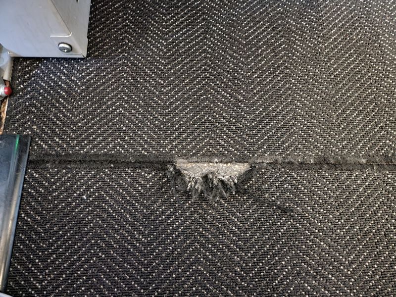 Pet Stain Carpet Repair in Kansas City, KS